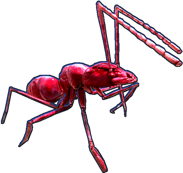 Giant Red Ant