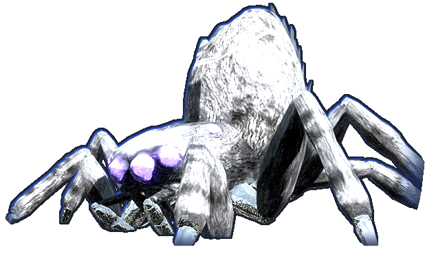 Giant Silver Spider